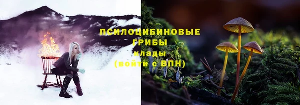 стаф Абдулино