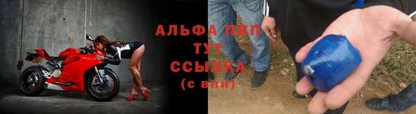 PSILOCYBIN Абаза