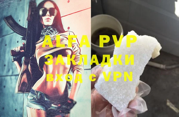 крисы Алексин