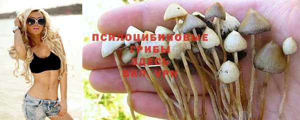 марки lsd Алзамай
