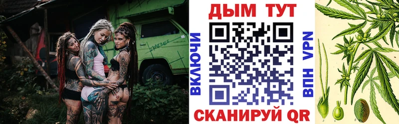 Конопля сатива  ссылка на мегу как войти  Новосиль 